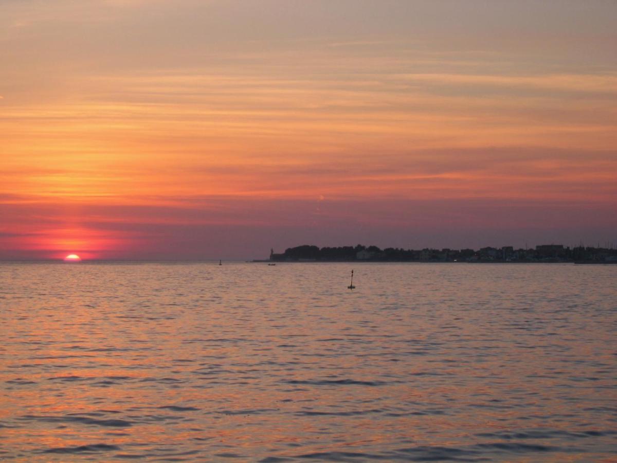 Apartment Puntamika Zadar Dış mekan fotoğraf