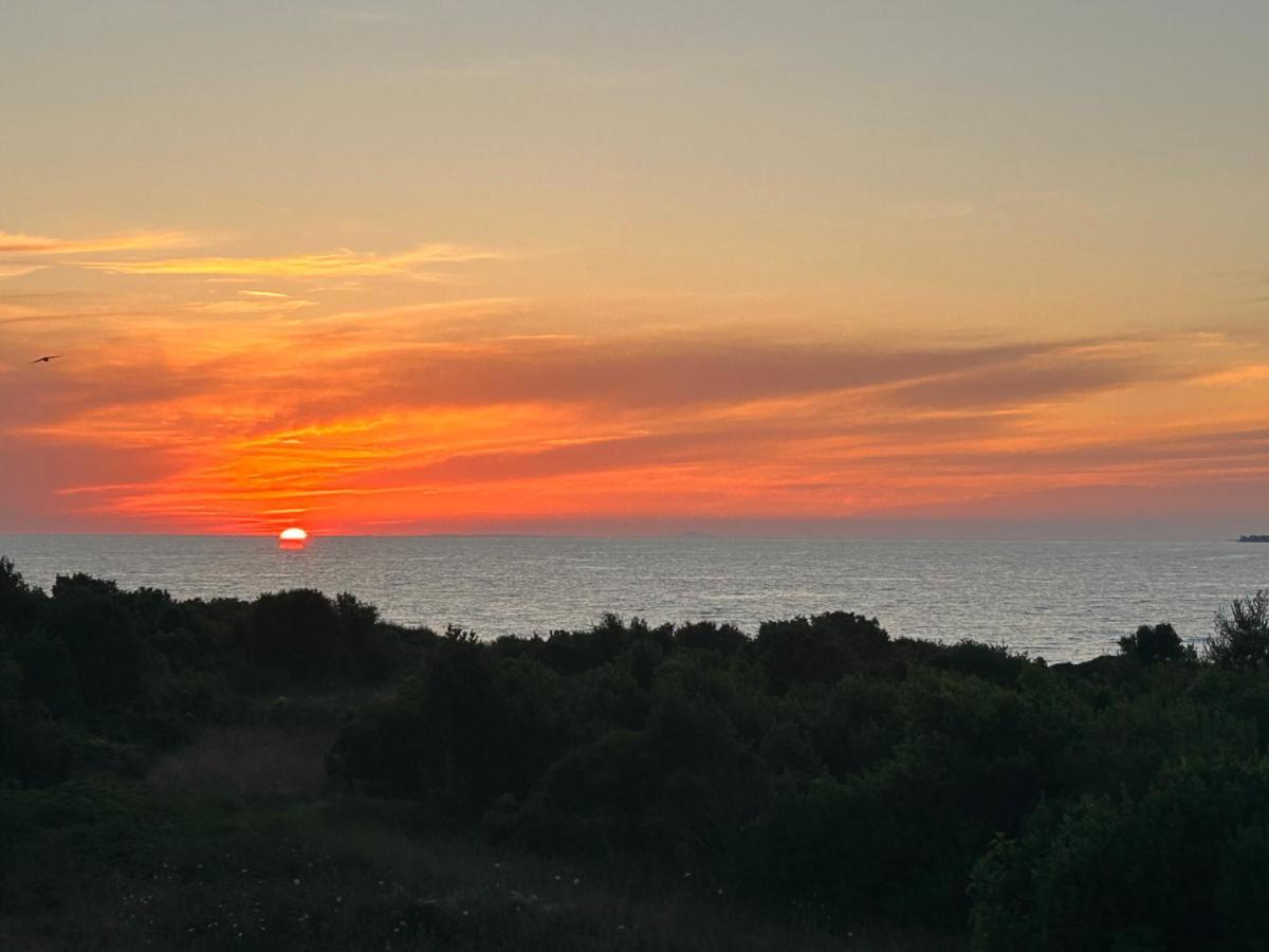 Apartment Puntamika Zadar Dış mekan fotoğraf